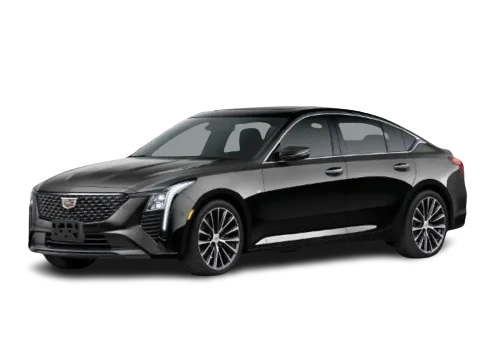 Premium Sedan